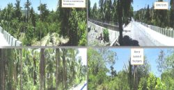 Foreclosed Property in Mogpog, Marinduque (PDIC)
