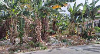 Foreclosed Residential Lot in Binangonan, Rizal
