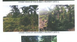 Foreclosed Agricultural Lot in Barotac Viejo, Iloilo (Philippine Veterans Bank) #7