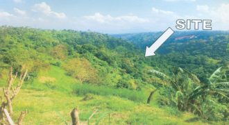 Foreclosed Residential Lot in Laurel, Batangas