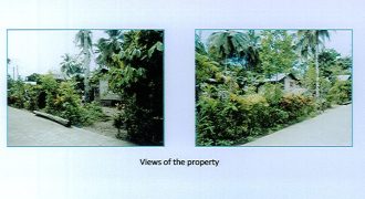 Foreclosed Residential Lot in Mayorga, Leyte