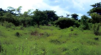 Foreclosed Agricultural Lot in Candelaria, Quezon