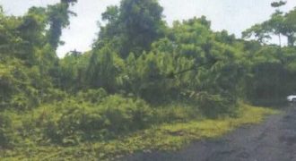Foreclosed Residential Lot in Cavinti, Laguna – Sierra Lakes Subdivision (Philippine Veterans Bank)