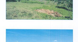 Foreclosed Residential Lot in Daraga, Albay, Luzon #347
