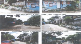 Foreclosed Residential Lot in San Mateo, Rizal, Luzon #20
