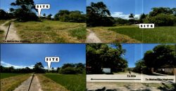 Foreclosed Residential Lot in Labo, Camarines Norte (PDIC)