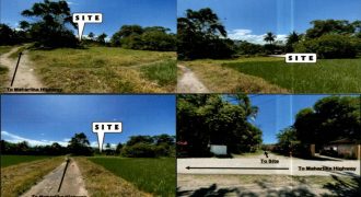 Foreclosed Residential Lot in Labo, Camarines Norte (PDIC)