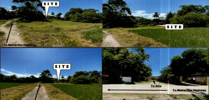 Foreclosed Residential Lot in Labo, Camarines Norte (PDIC)
