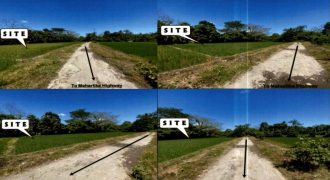 Foreclosed Agricultural Lot in Labo, Camarines Norte (PDIC)