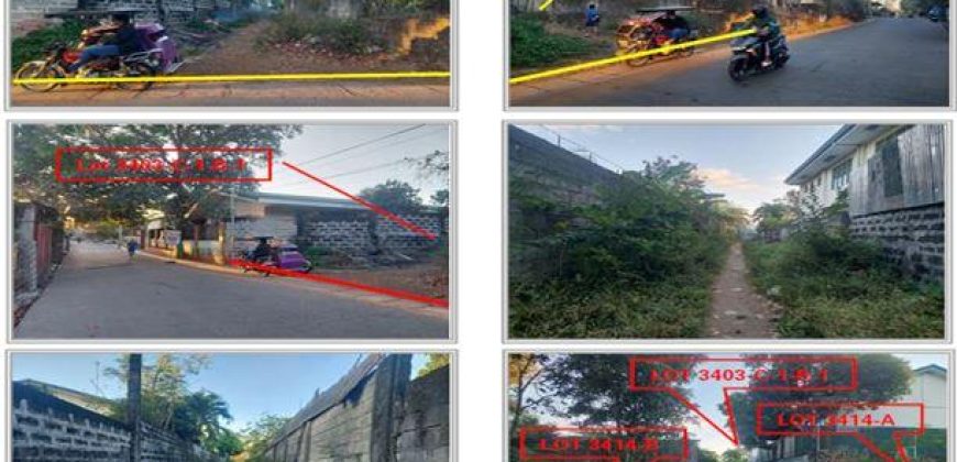 Foreclosed Residential Lot in Pandi, Bulacan · Lot No. 3403-C-1-B-1 (PDIC)