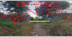 Foreclosed Agricultural Lot in Pandi, Bulacan · Lot 3414-B (PDIC)