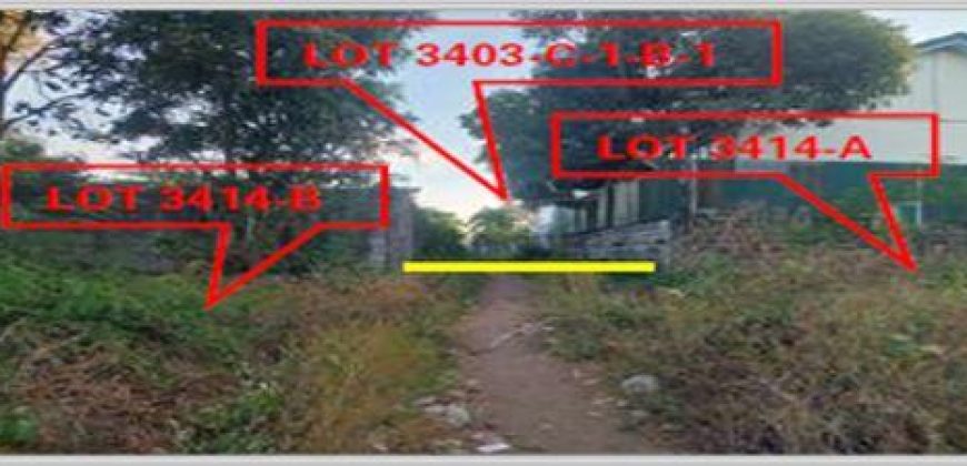 Foreclosed Agricultural Lot in Pandi, Bulacan · Lot 3414-B (PDIC)