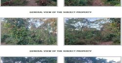 Foreclosed Agricultural Lot in Pandi, Bulacan · Lot No. 3414-G (PDIC)