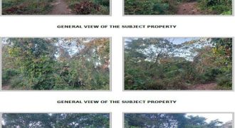 Foreclosed Agricultural Lot in Pandi, Bulacan