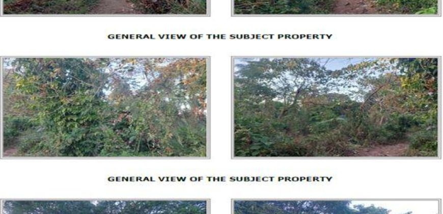 Foreclosed Agricultural Lot in Pandi, Bulacan (PDIC)