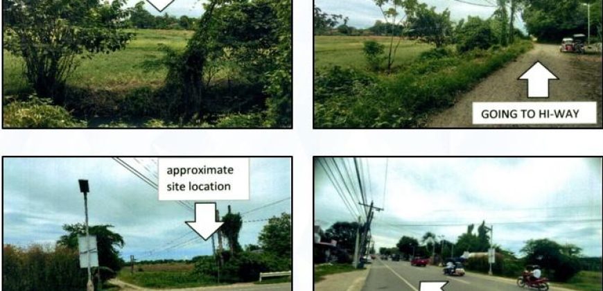 Foreclosed Residential Lot in City Of Alaminos City, Pangasinan – Braganza Village · Lot 13 Blk 12 (PDIC)