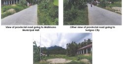 Foreclosed Residential Lot in Malimono, Surigao del Norte (PDIC)