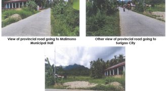 Foreclosed Residential Lot in Malimono, Surigao del Norte (PDIC)