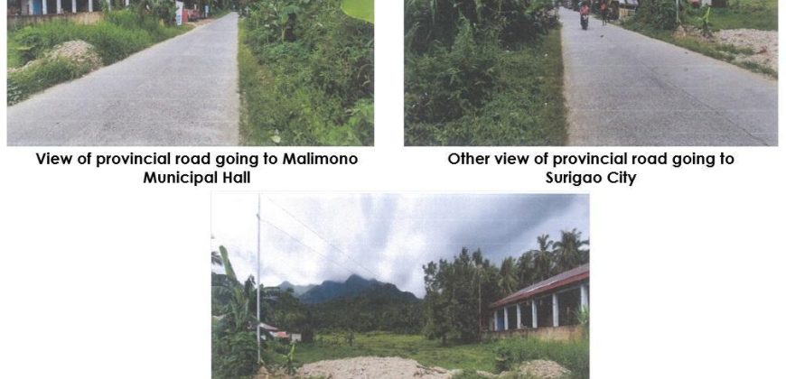 Foreclosed Residential Lot in Malimono, Surigao del Norte (PDIC)