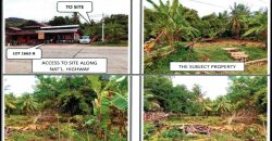 Foreclosed Agricultural Lot in Ayungon, Negros Oriental · Lot 1662-A (PDIC)