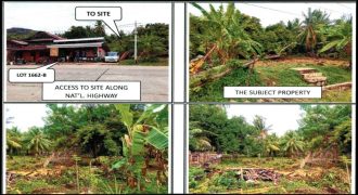 Foreclosed Agricultural Lot in Ayungon, Negros Oriental · Lot 1662-A (PDIC)