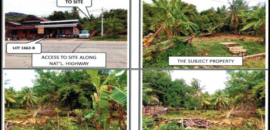 Foreclosed Agricultural Lot in Ayungon, Negros Oriental · Lot 1662-A (PDIC)