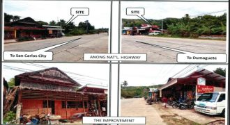 Foreclosed Property in Ayungon, Negros Oriental (PDIC)