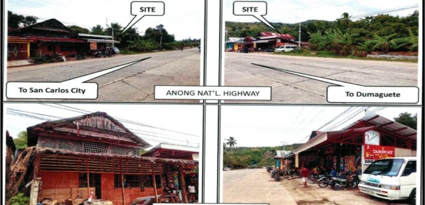 Foreclosed Property in Ayungon, Negros Oriental (PDIC)