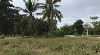 Foreclosed Residential Lot in Initao, Misamis Oriental – Coral Resort Estates (Metrobank)