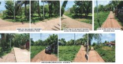 Foreclosed Agricultural Lot in Diadi, Nueva Vizcaya (PDIC)