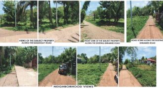 Foreclosed Agricultural Lot in Diadi, Nueva Vizcaya (PDIC)
