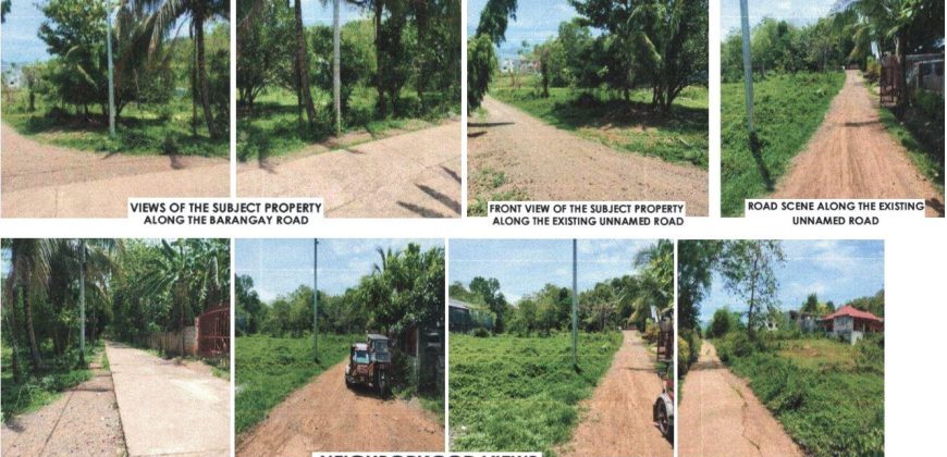 Foreclosed Agricultural Lot in Diadi, Nueva Vizcaya (PDIC)