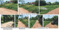 Foreclosed Agricultural Lot in Diadi, Nueva Vizcaya · Lot 4654-B-4-B (PDIC)