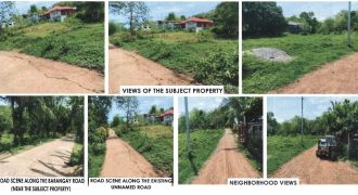 Foreclosed Agricultural Lot in Diadi, Nueva Vizcaya · Lot 4654-B-4-B (PDIC)