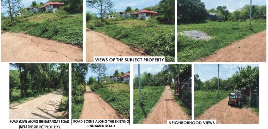 Foreclosed Agricultural Lot in Diadi, Nueva Vizcaya · Lot 4654-B-4-B (PDIC)