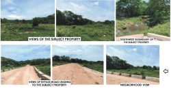 Foreclosed Agricultural Lot in Diadi, Nueva Vizcaya · Lot 3515 (PDIC)