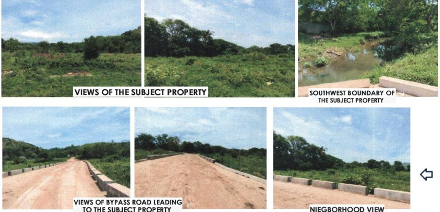 Foreclosed Agricultural Lot in Diadi, Nueva Vizcaya · Lot 3515 (PDIC)