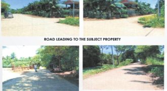 Foreclosed Residential Lot in Maddela, Quirino (PDIC)