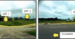 Foreclosed Residential Lot in City Of Alaminos City, Pangasinan – Braganza Village · Lot 1 Blk. 16 (PDIC)