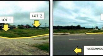 Foreclosed Residential Lot in City Of Alaminos City, Pangasinan – Braganza Village · Lot 2 Blk. 36 (PDIC)
