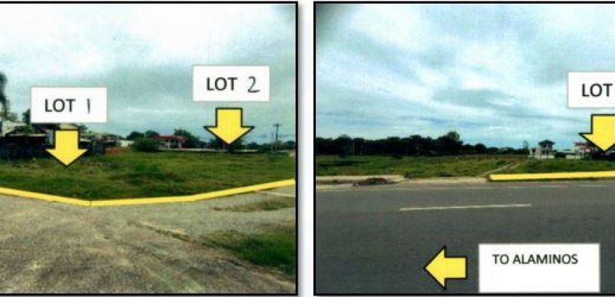 Foreclosed Residential Lot in City Of Alaminos City, Pangasinan – Braganza Village · Lot 2 Blk. 36 (PDIC)