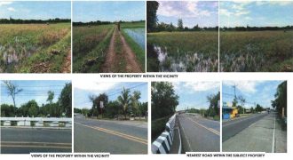 Foreclosed Agricultural Lot in San Mateo, Isabela, Luzon