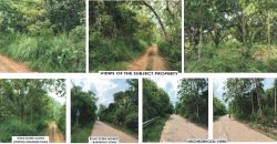 Foreclosed Agricultural Lot in Diadi, Nueva Vizcaya · Lot 4121 (PDIC)
