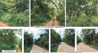 Foreclosed Agricultural Lot in Diadi, Nueva Vizcaya · Lot 4121 (PDIC)