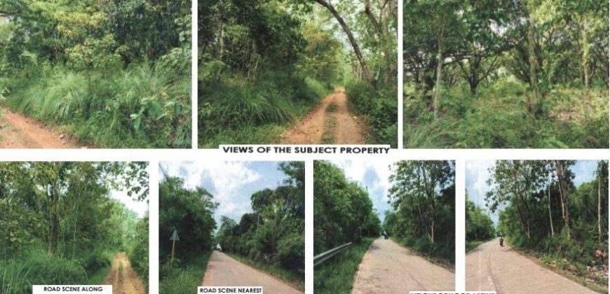 Foreclosed Agricultural Lot in Diadi, Nueva Vizcaya · Lot 4121 (PDIC)