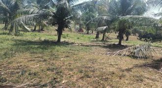 Foreclosed Residential Lot in Cadiz City, Negros Occidental – Barangay Road · Lot 787-B-4-E (Metrobank)