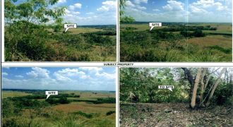 Foreclosed Residential Lot in City Of Cauayan City, Isabela · Lot 19 Blk 1 (PDIC)
