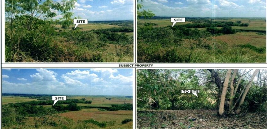 Foreclosed Residential Lot in City Of Cauayan City, Isabela · Lot 2 Blk 11 (PDIC)
