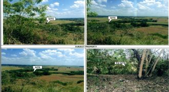 Foreclosed Residential Lot in City Of Cauayan City, Isabela · Lot 8 Blk 11 (PDIC)
