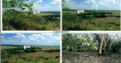 Foreclosed Residential Lot in City Of Cauayan City, Isabela · Lot 9 Blk 11 (PDIC)